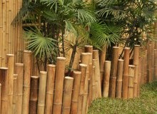 Kwikfynd Landscape Designer
fernmount