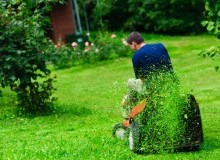 Kwikfynd Lawn Mowing
fernmount