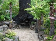 Kwikfynd Sustainable Landscaping
fernmount