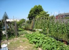 Kwikfynd Vegetable Gardens
fernmount